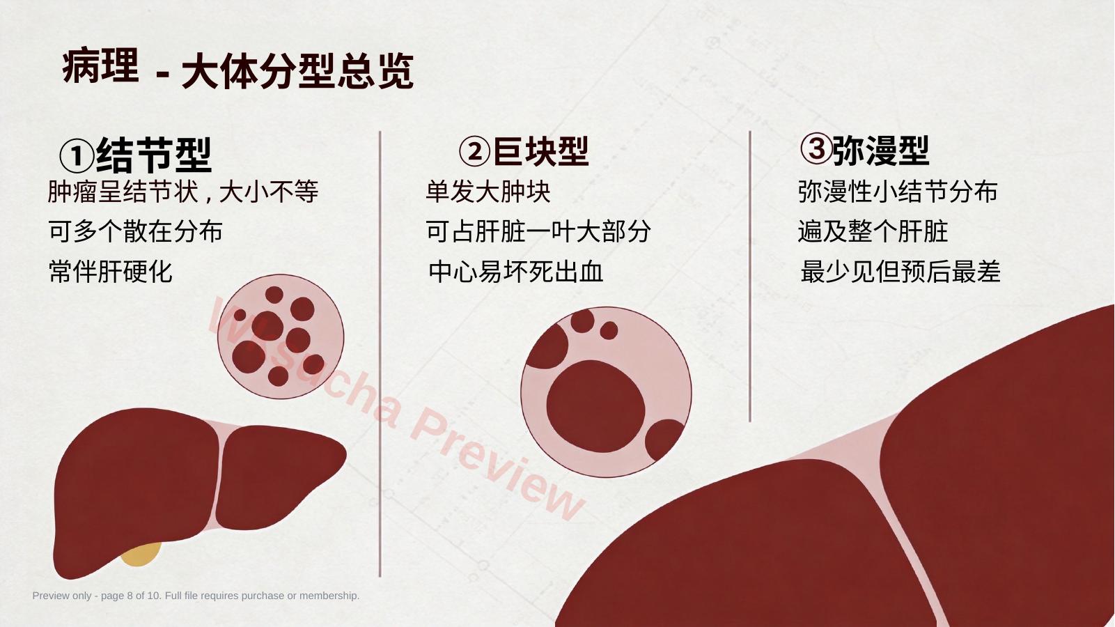 预览第 8 页