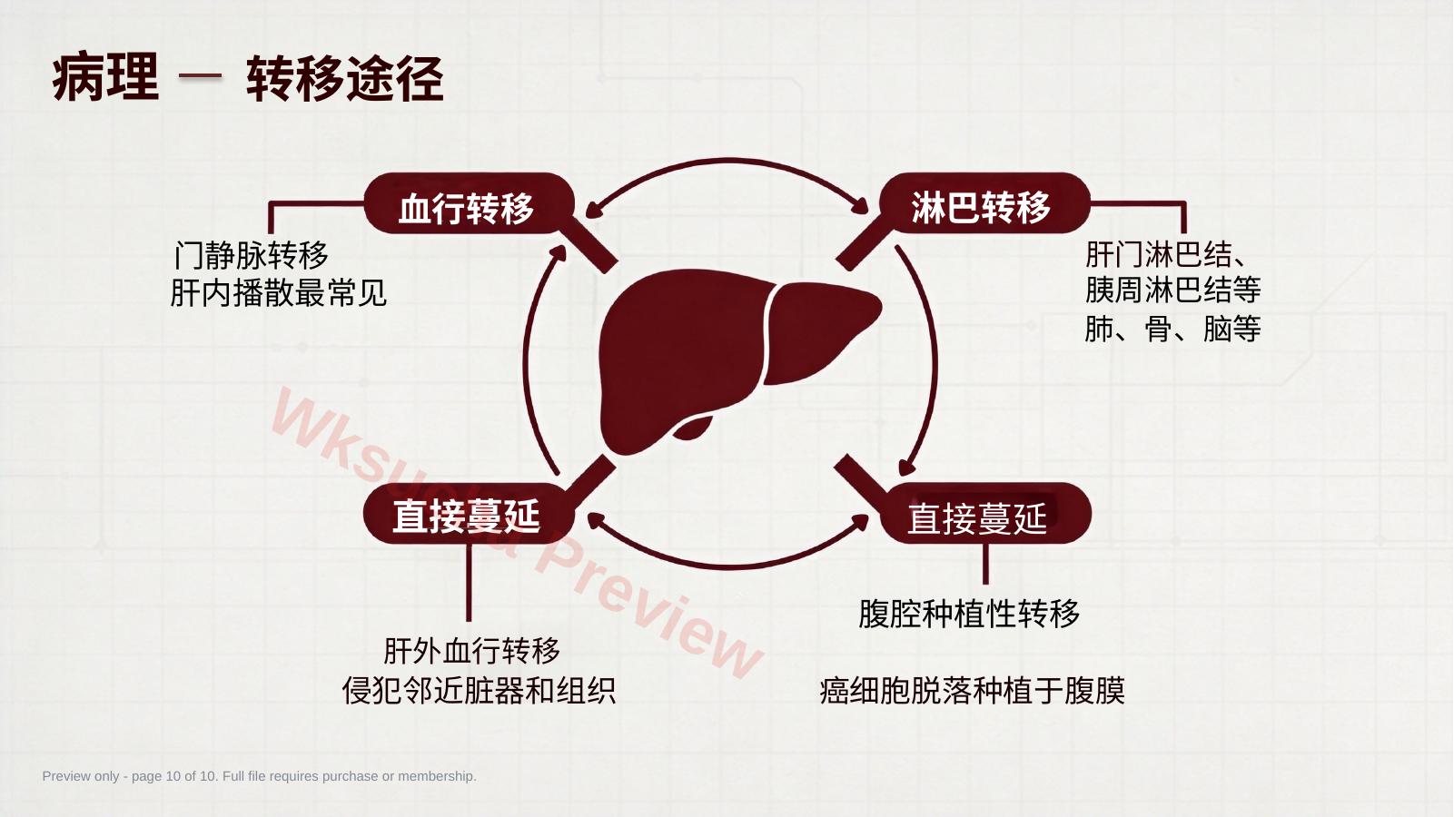 预览第 10 页