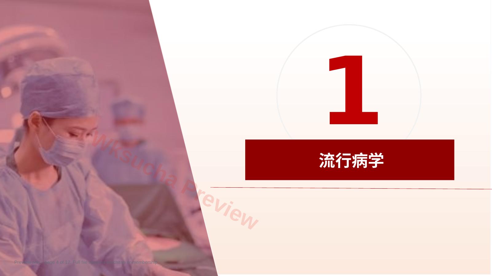 预览第 4 页