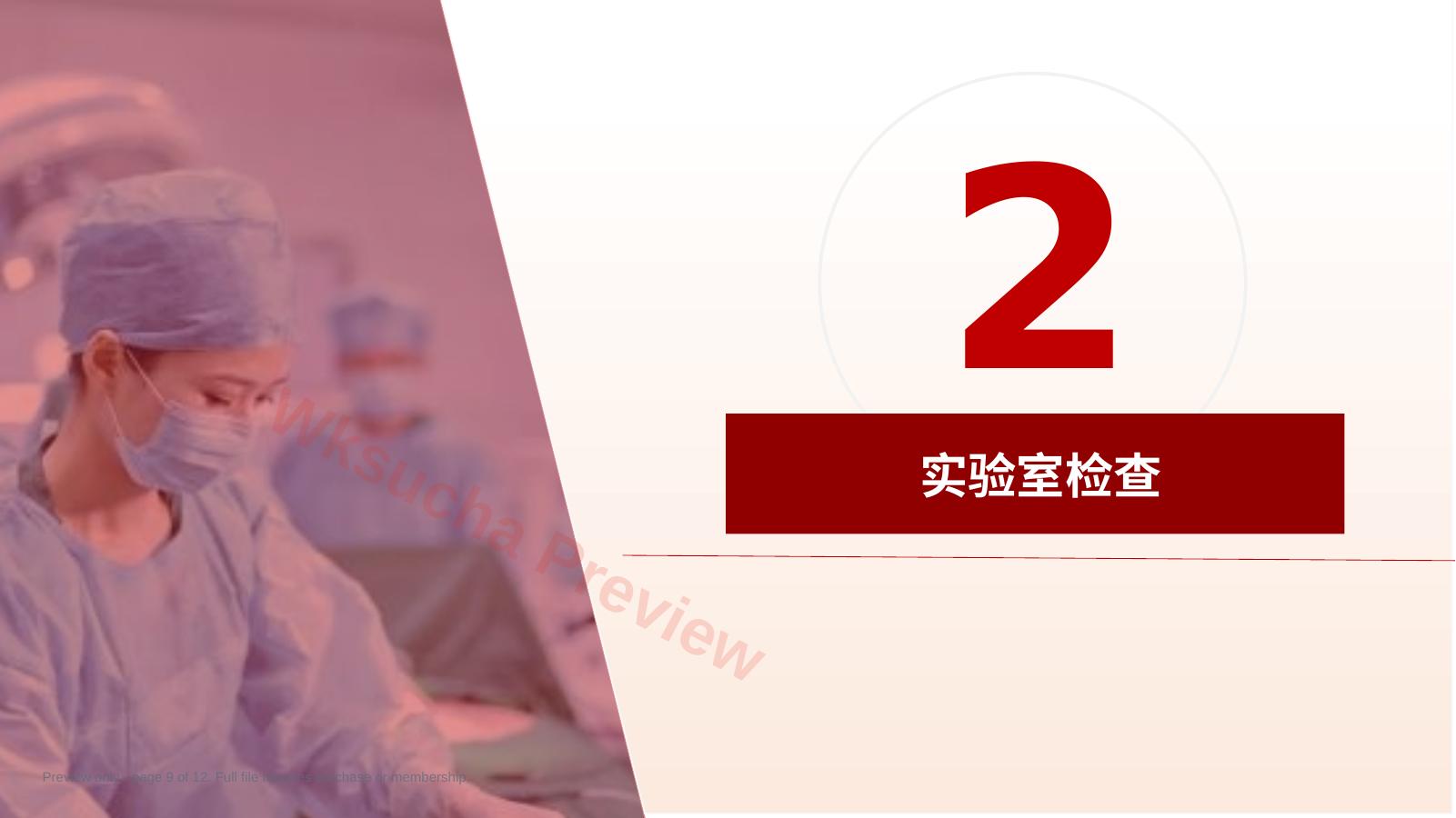 预览第 9 页