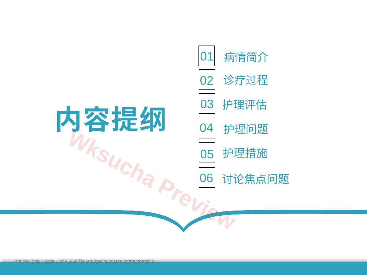 预览第 2 页