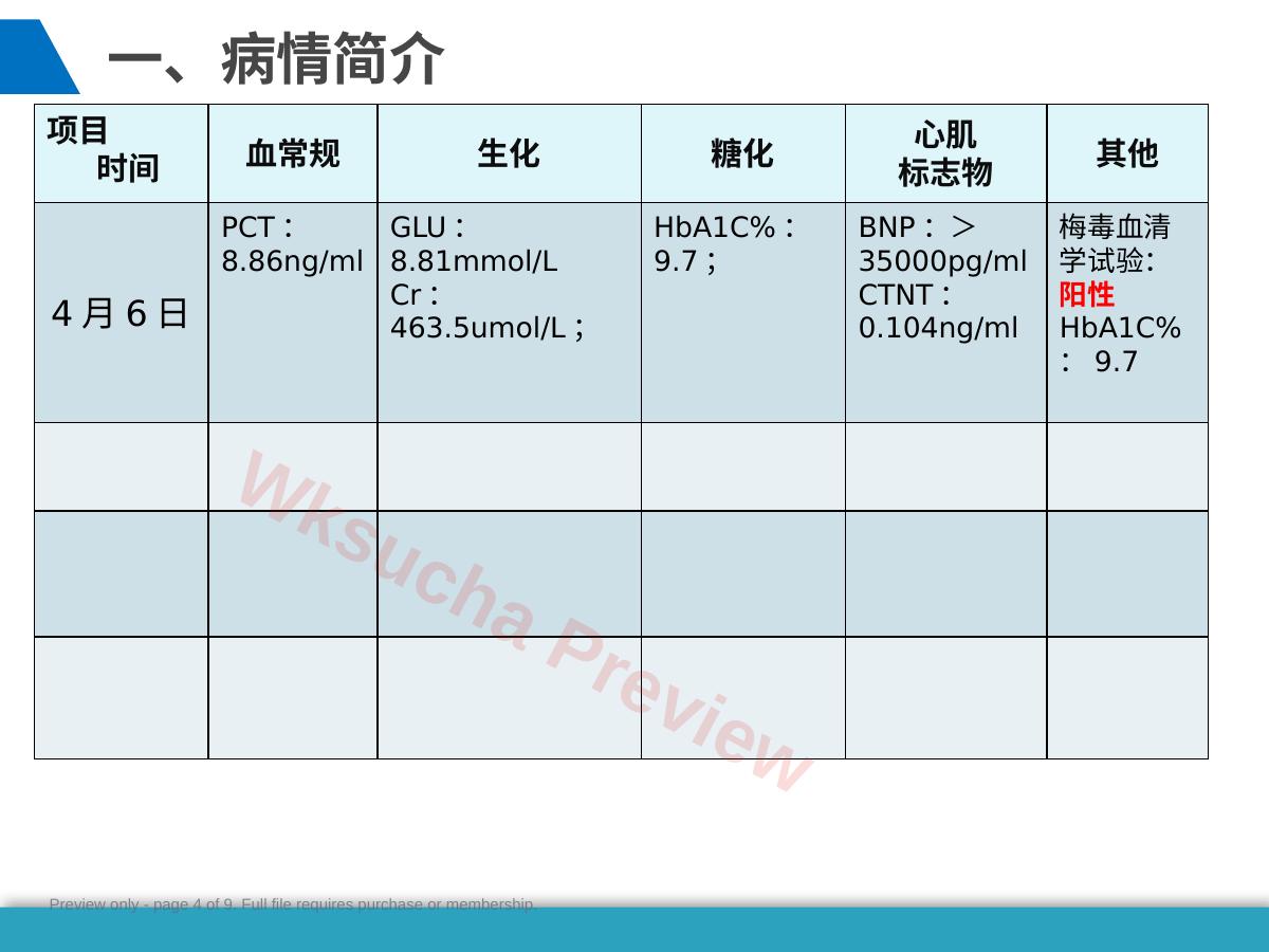 预览第 4 页