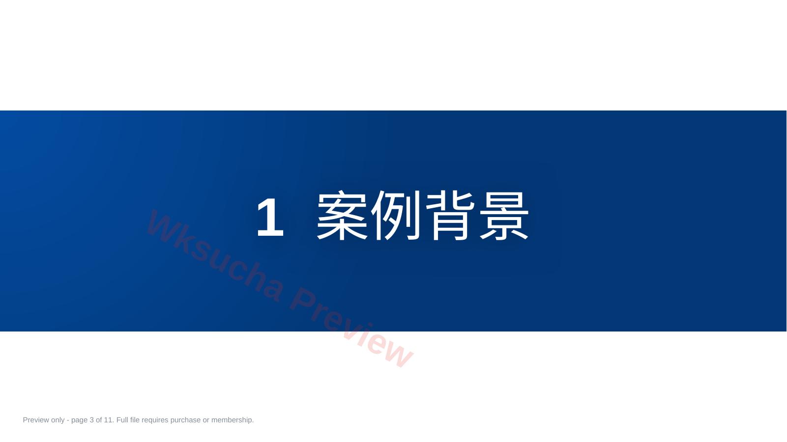 预览第 3 页