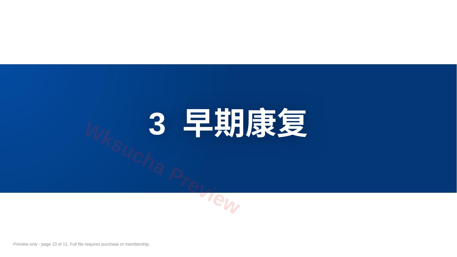 预览第 10 页