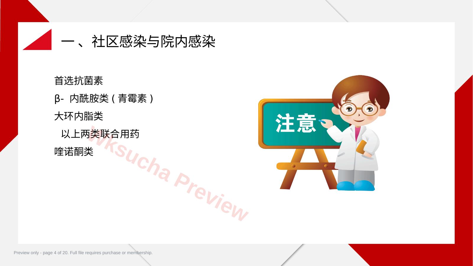 预览第 4 页