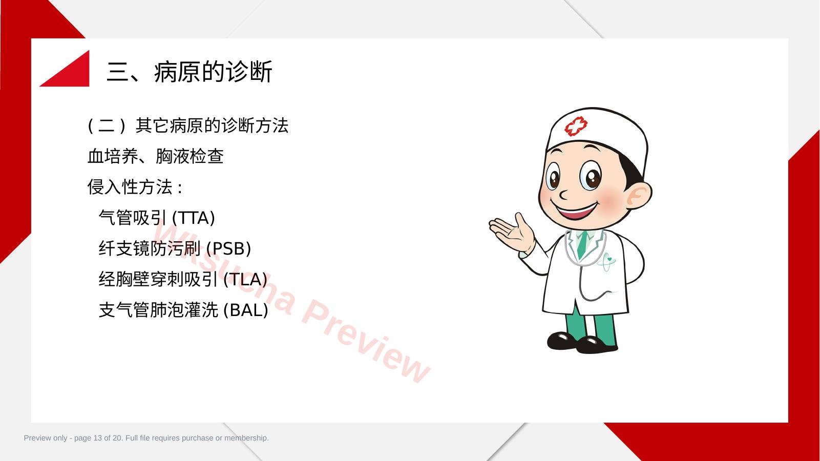 预览第 13 页