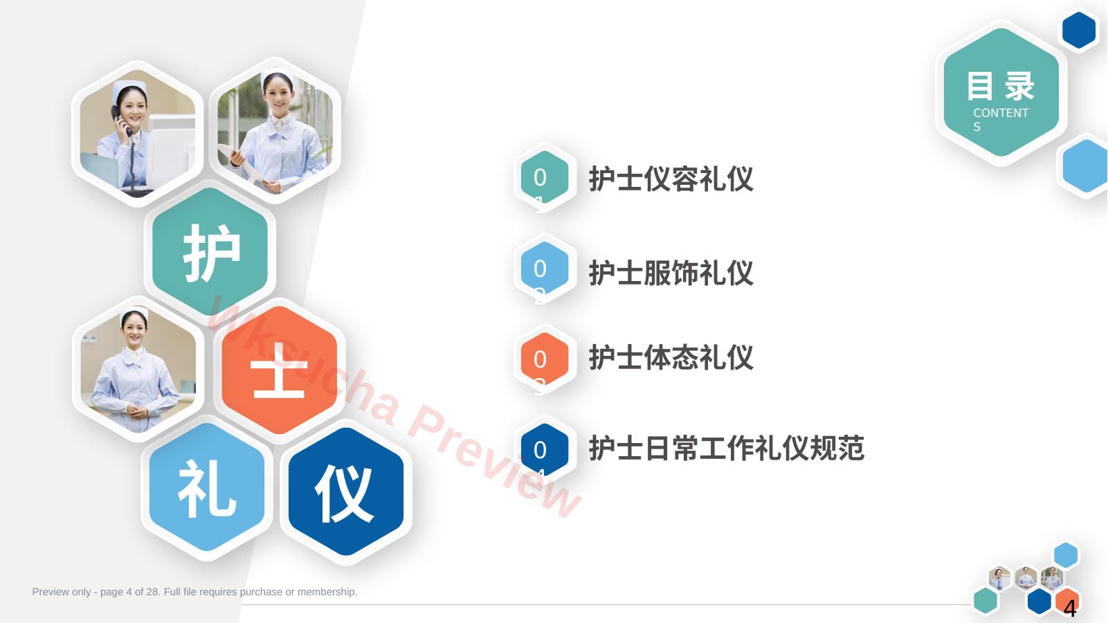 预览第 4 页