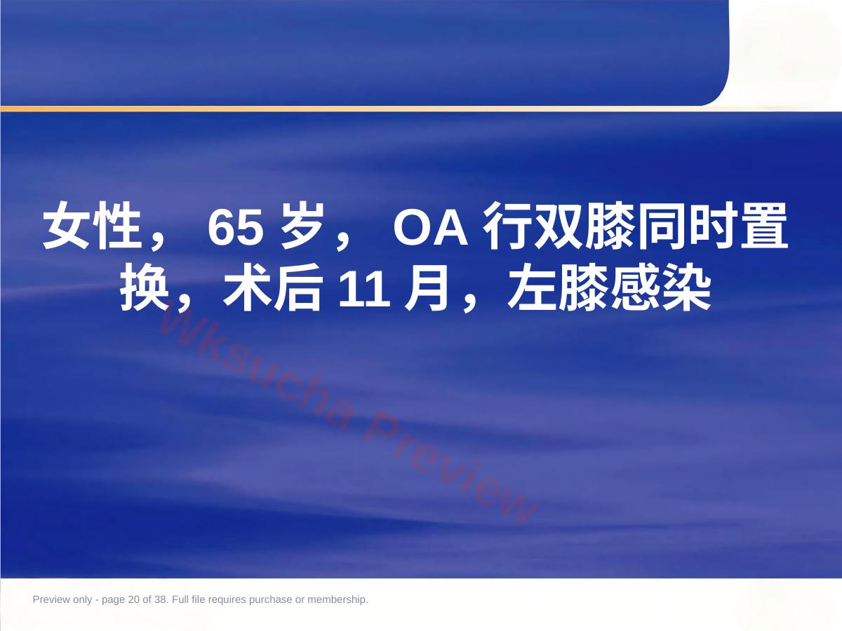 预览第 20 页