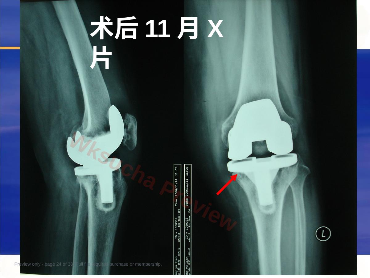 预览第 24 页