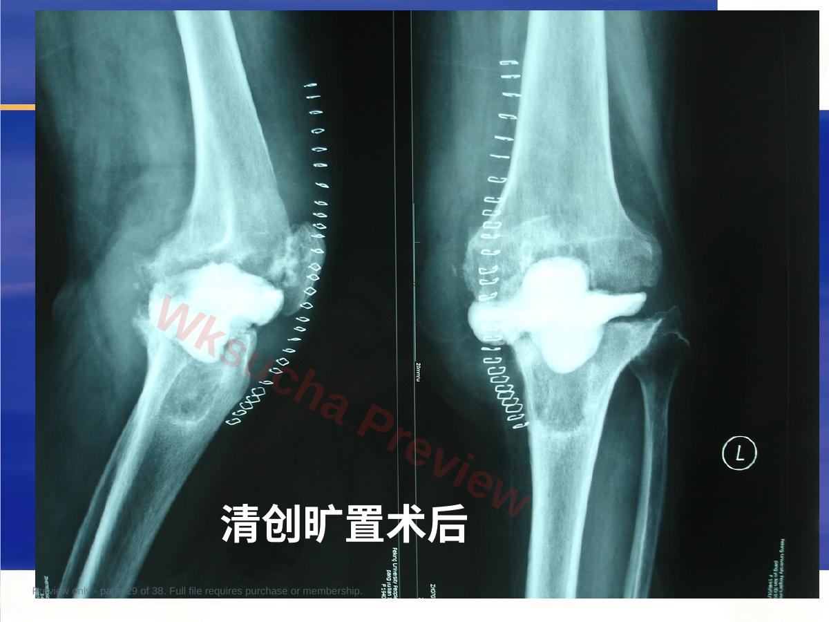 预览第 29 页
