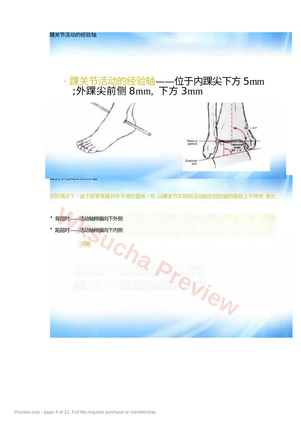 预览第 4 页