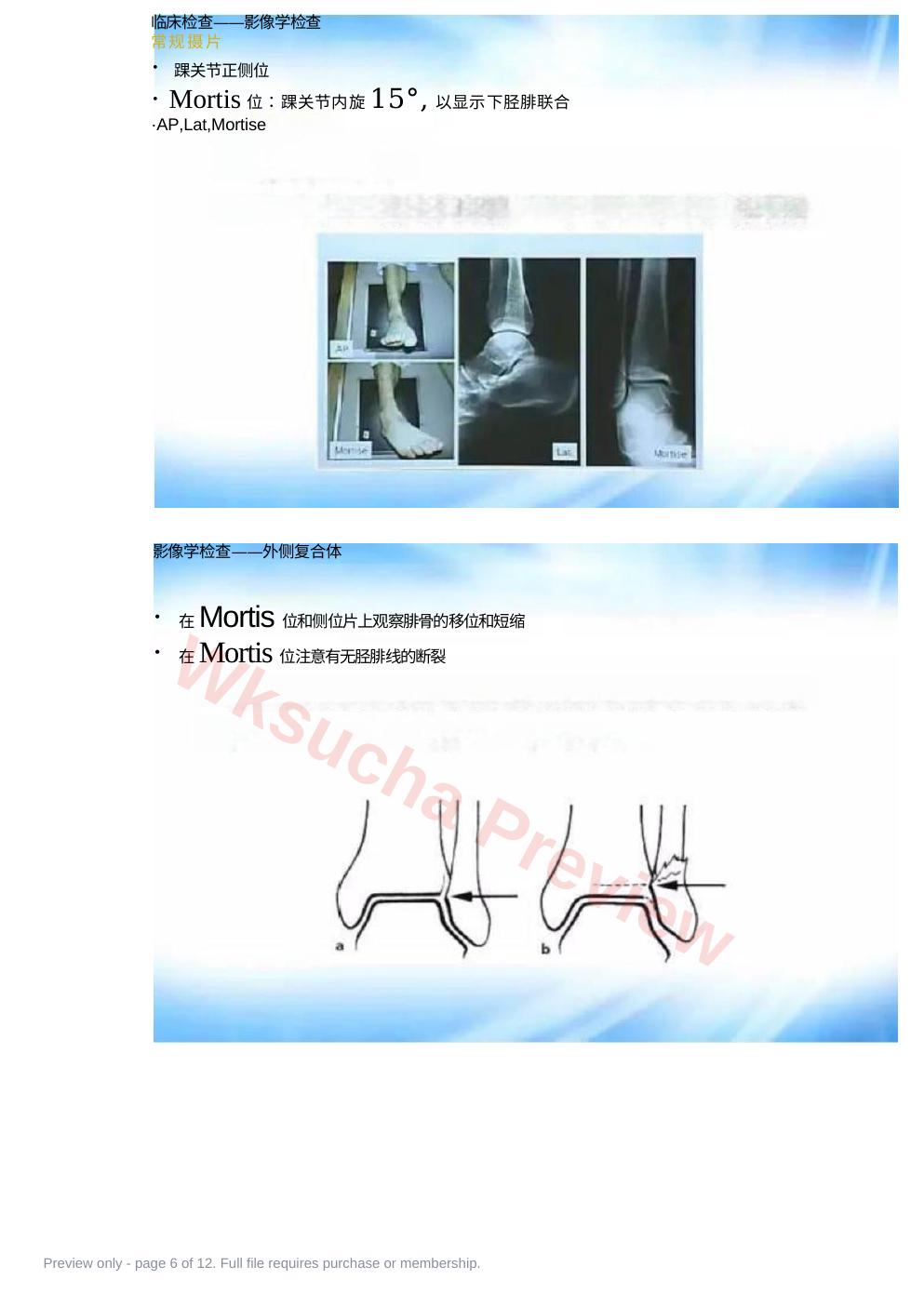 预览第 6 页