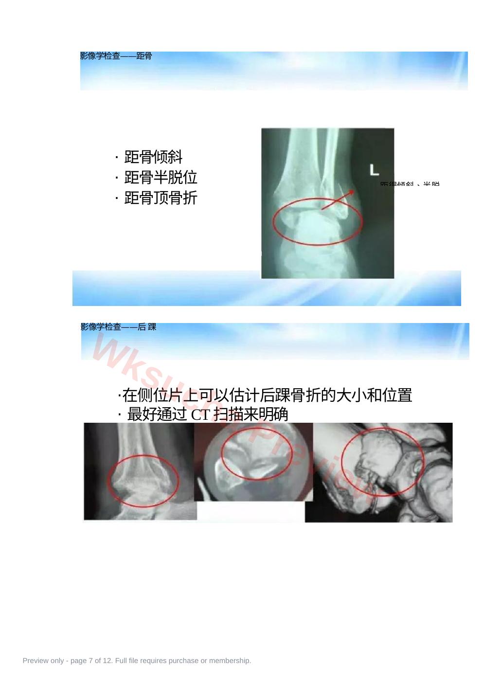 预览第 7 页
