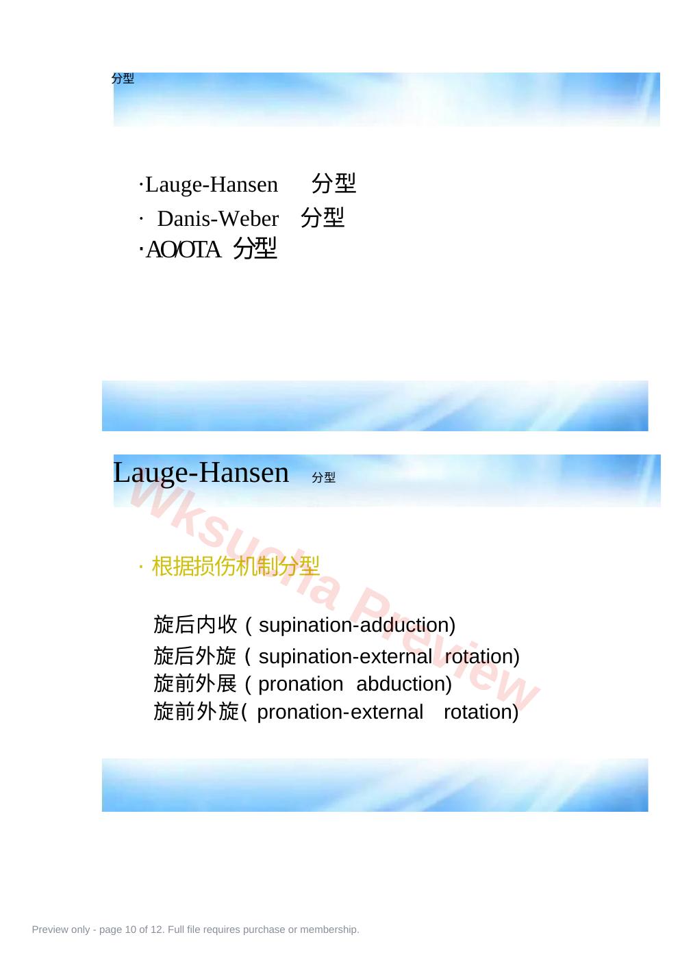 预览第 10 页