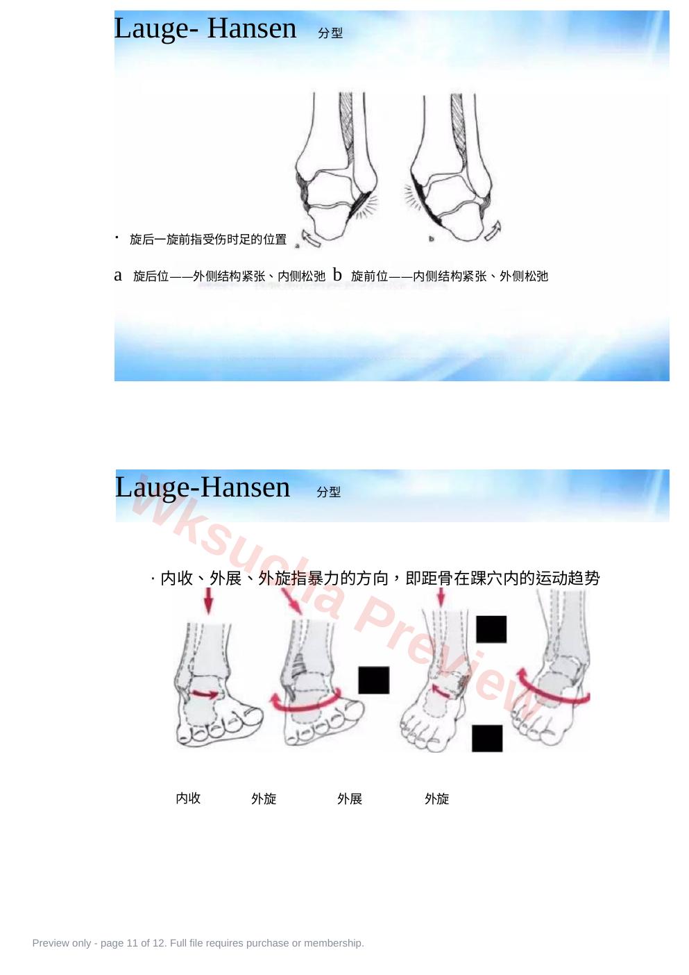 预览第 11 页