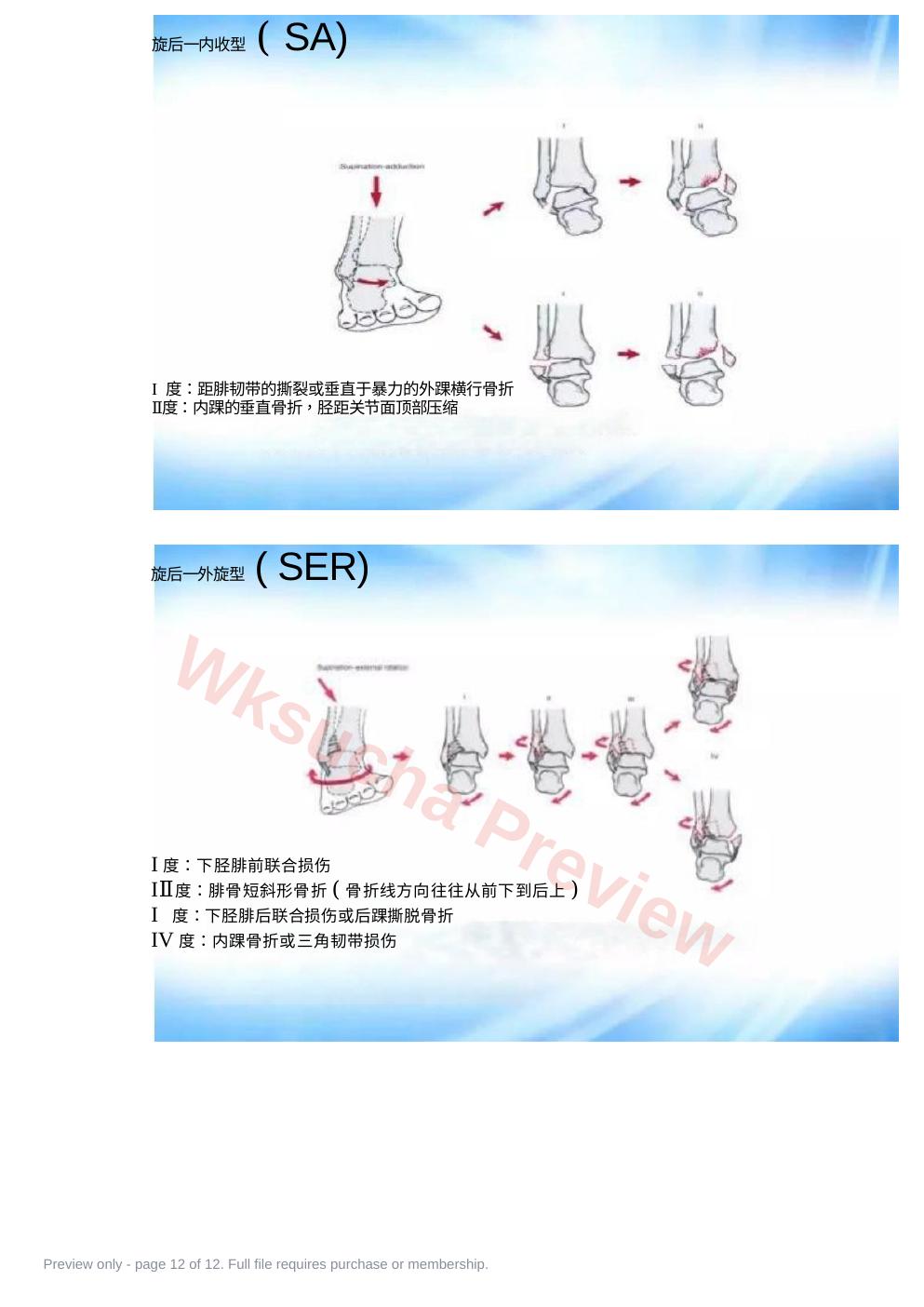 预览第 12 页