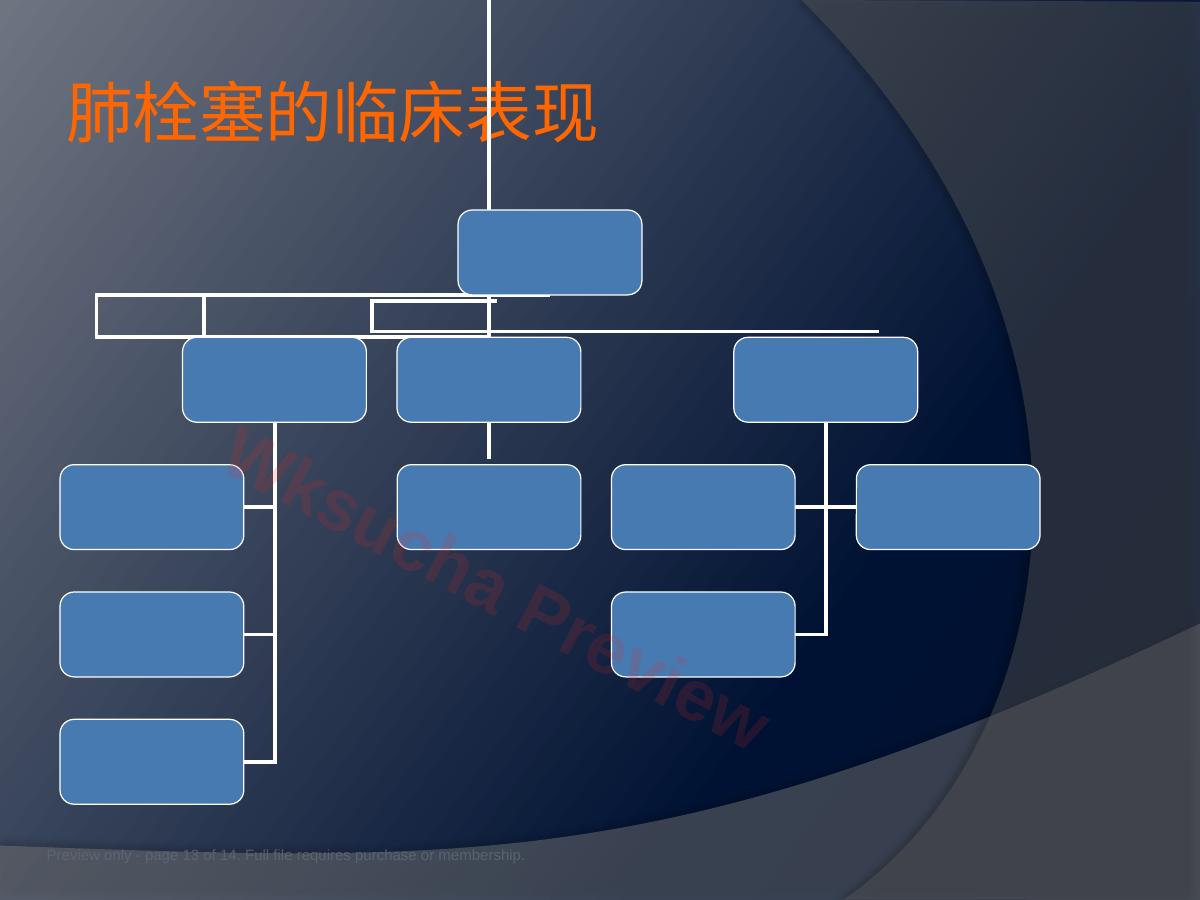 预览第 13 页