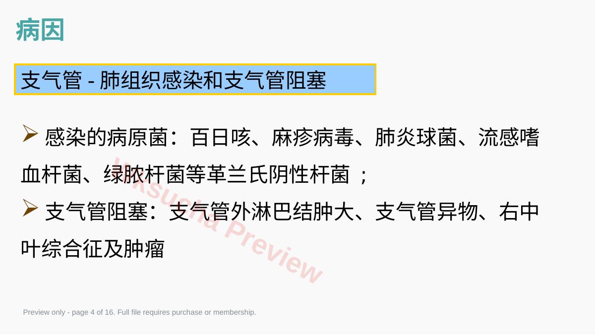 预览第 4 页