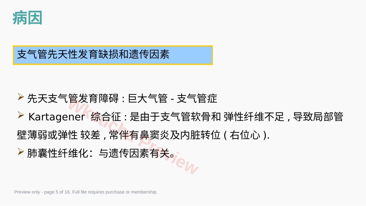 预览第 5 页