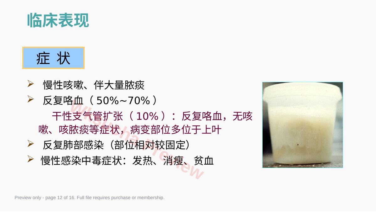预览第 12 页