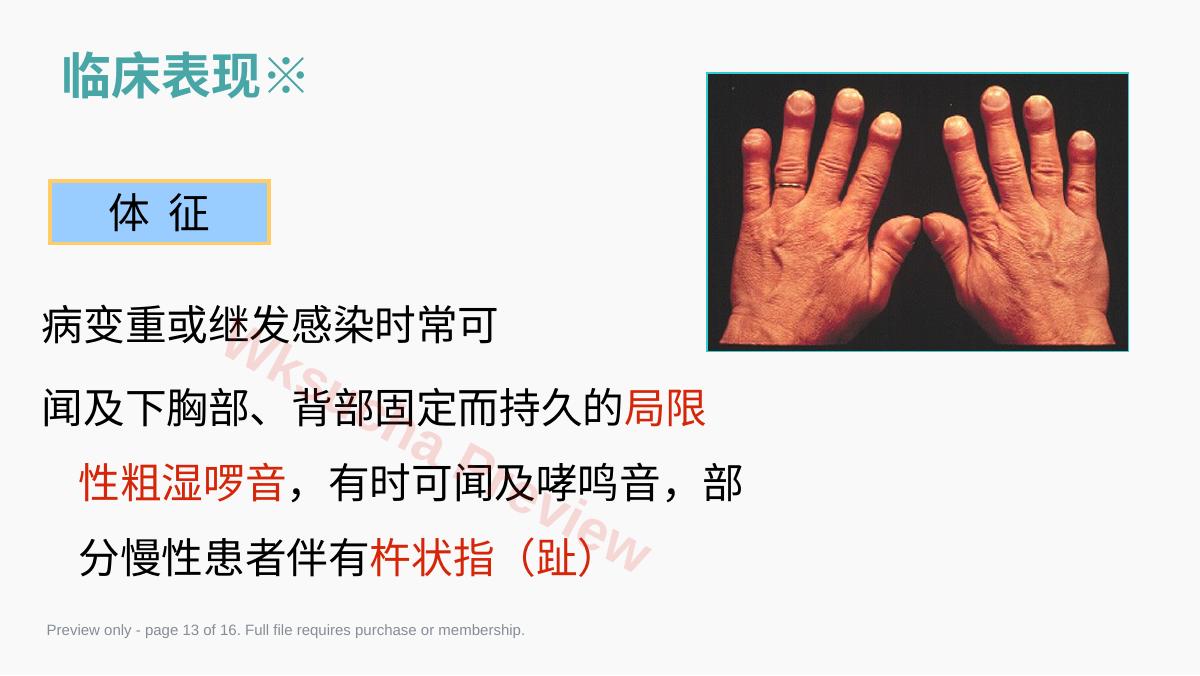 预览第 13 页