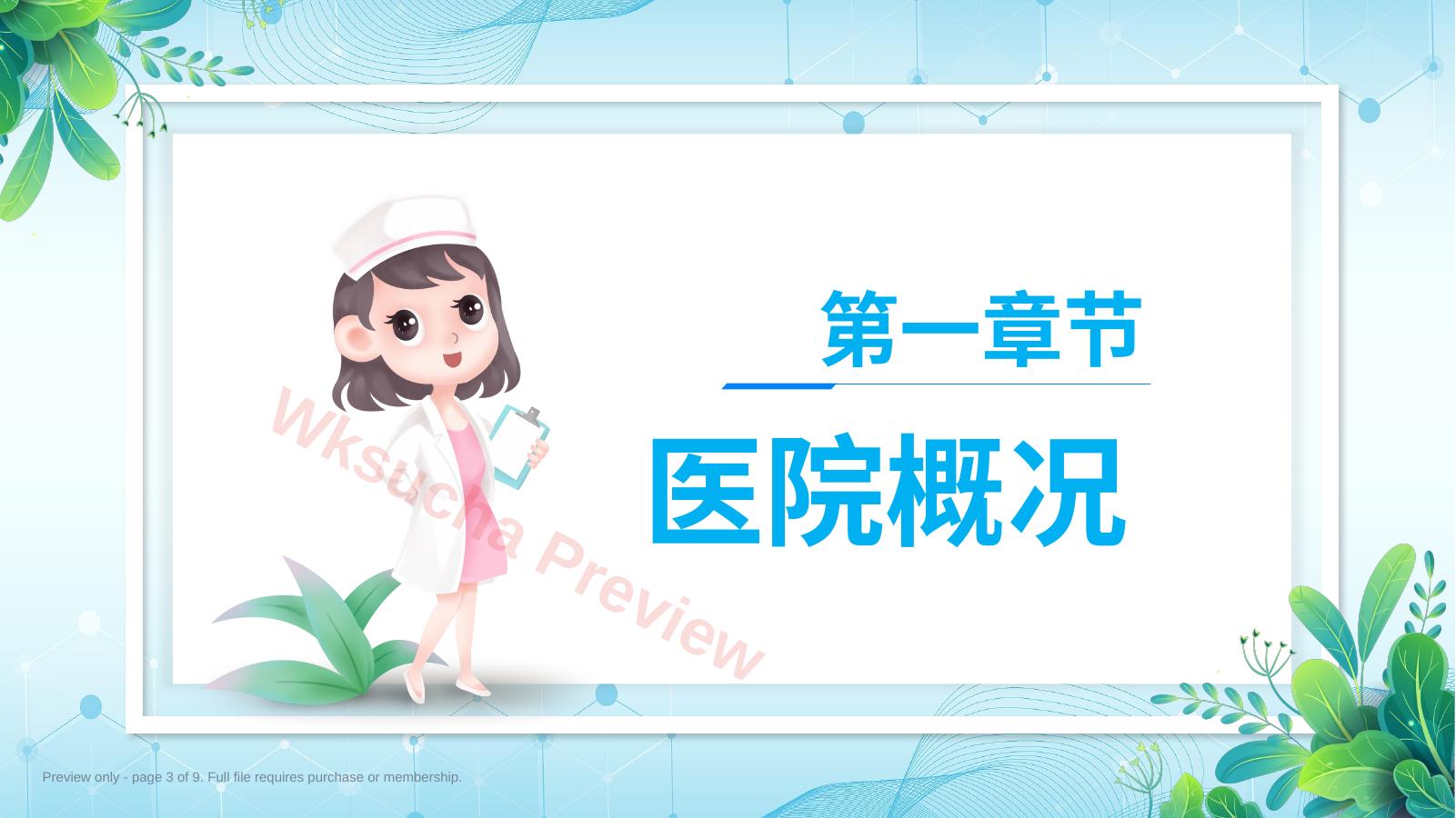 预览第 3 页