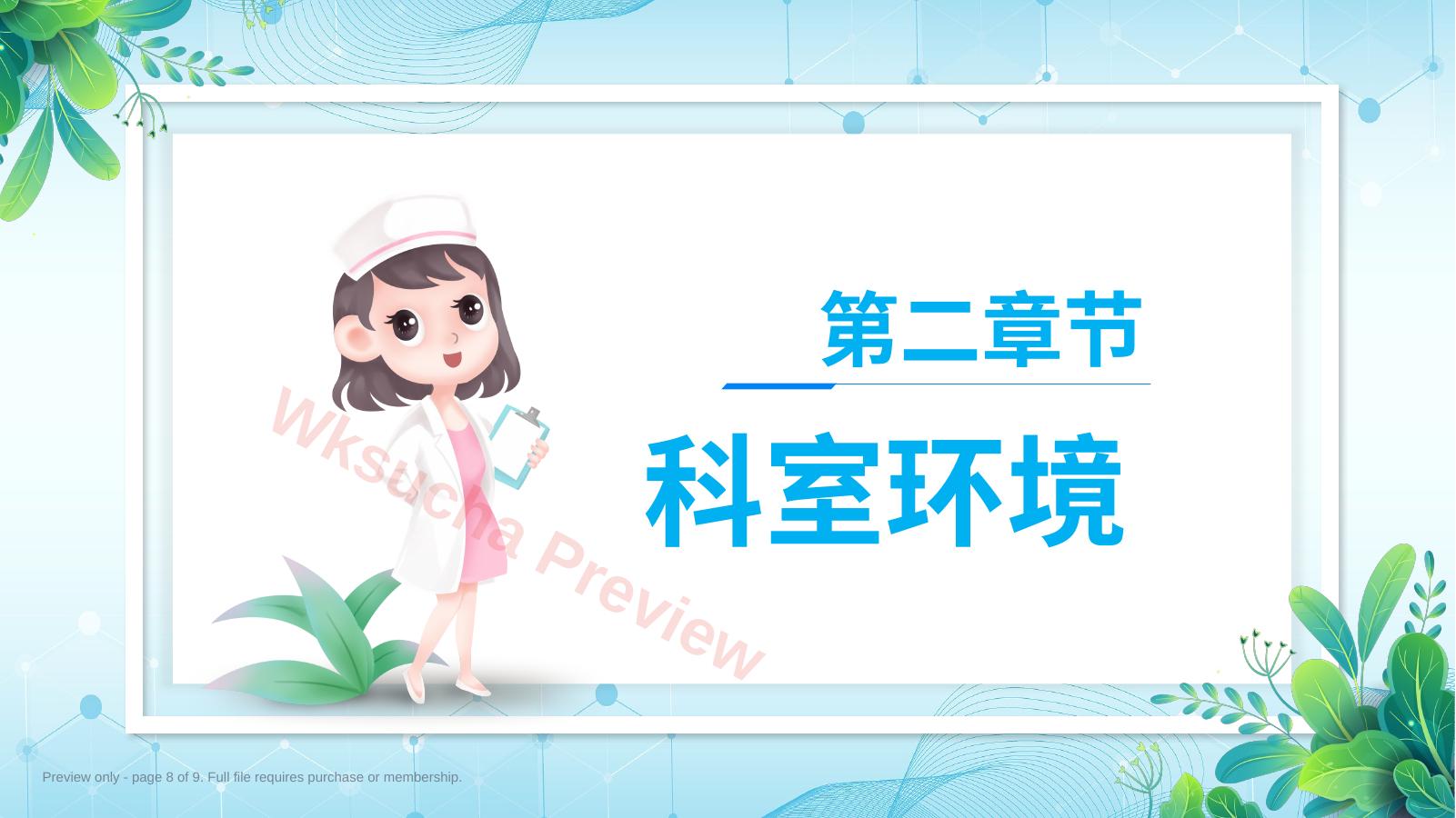 预览第 8 页