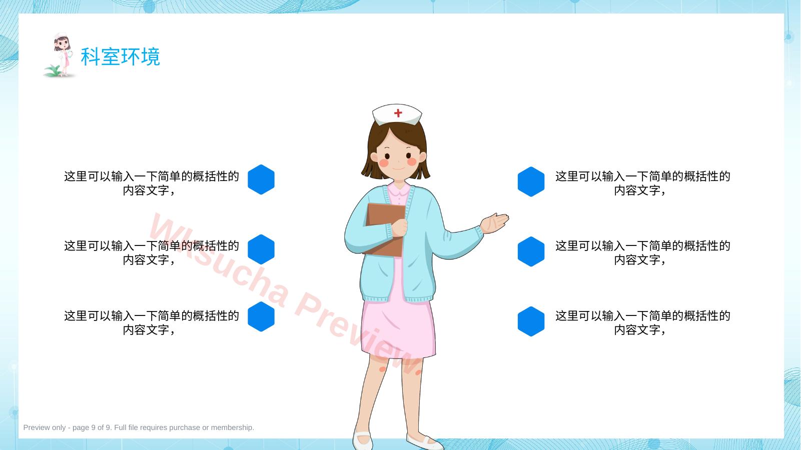 预览第 9 页