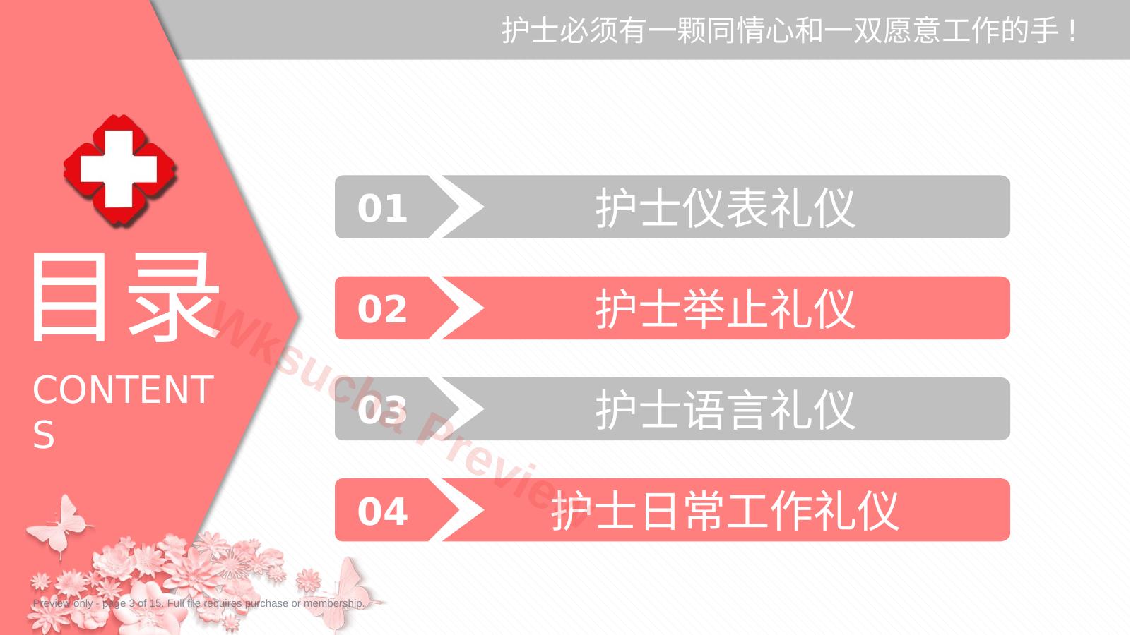 预览第 3 页