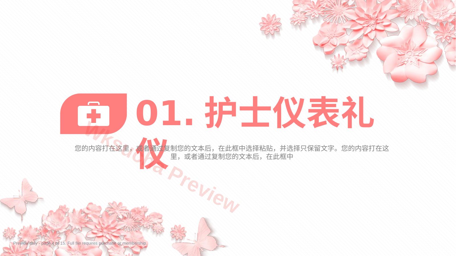 预览第 4 页