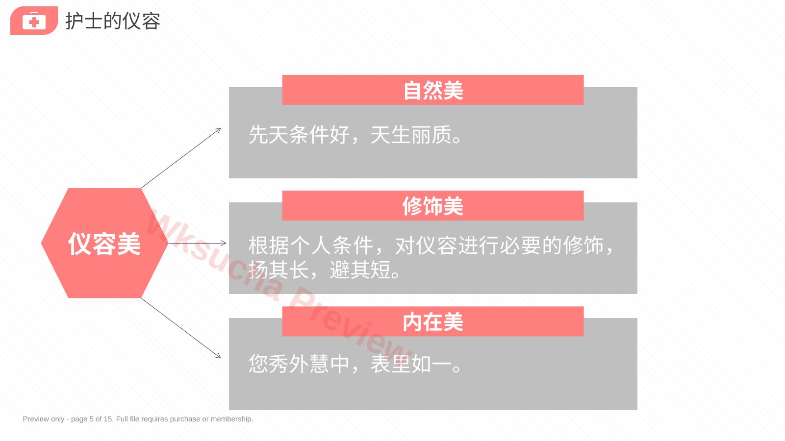 预览第 5 页