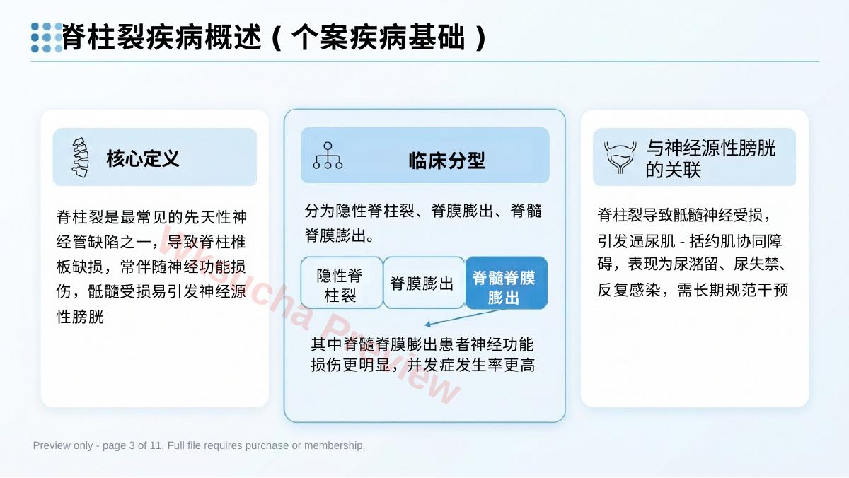 预览第 3 页