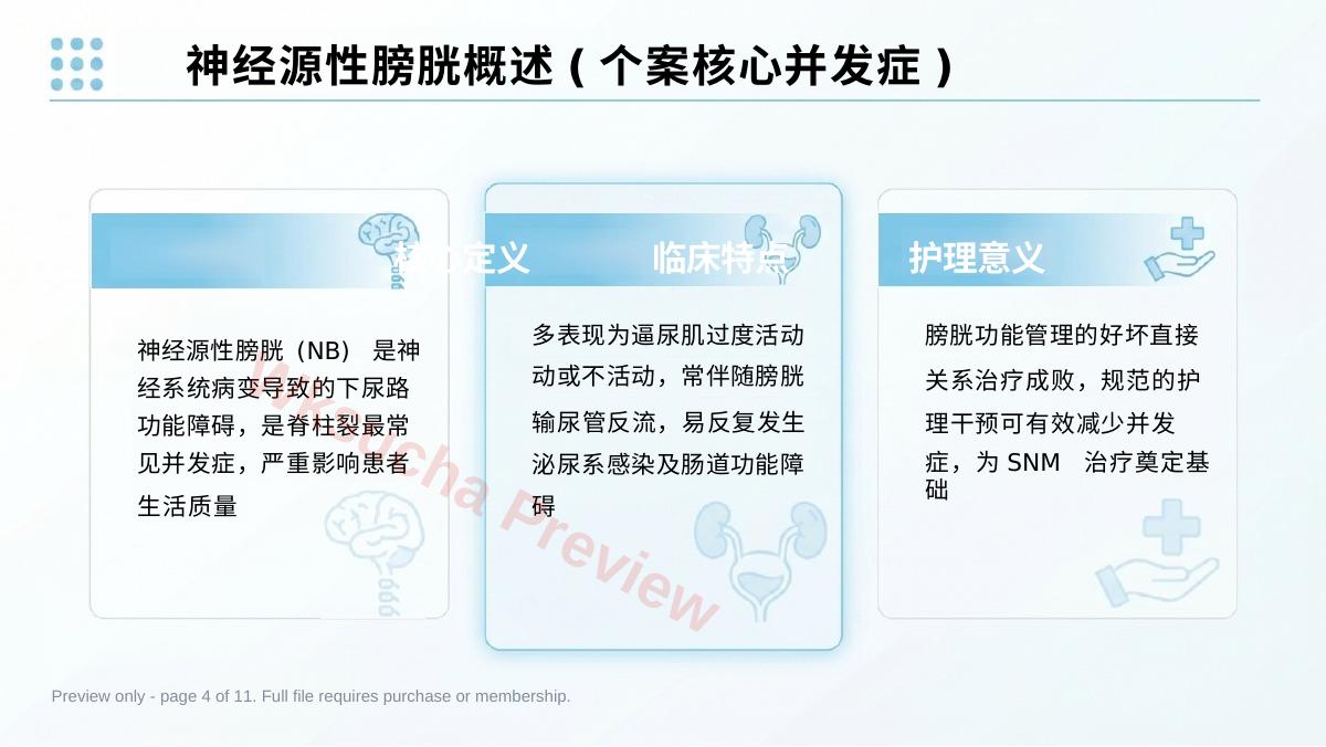 预览第 4 页