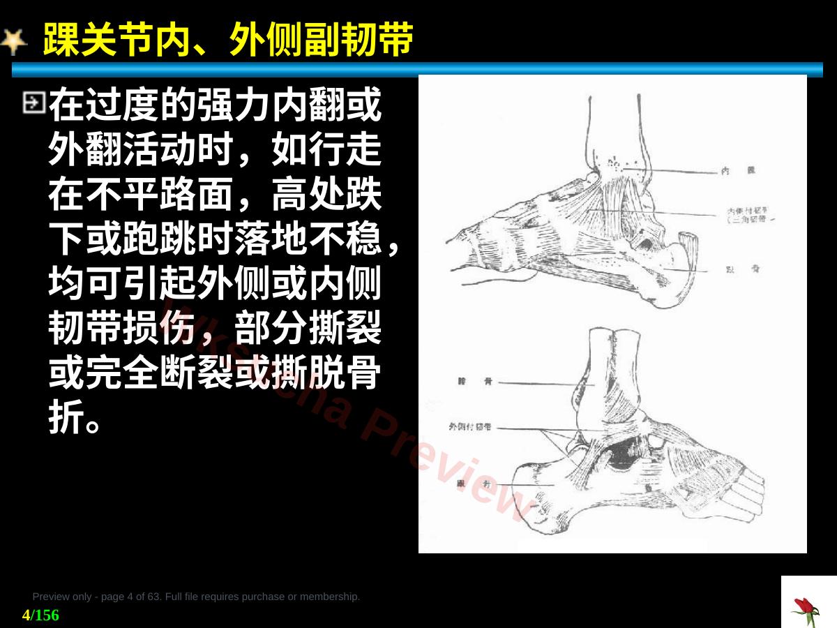 预览第 4 页