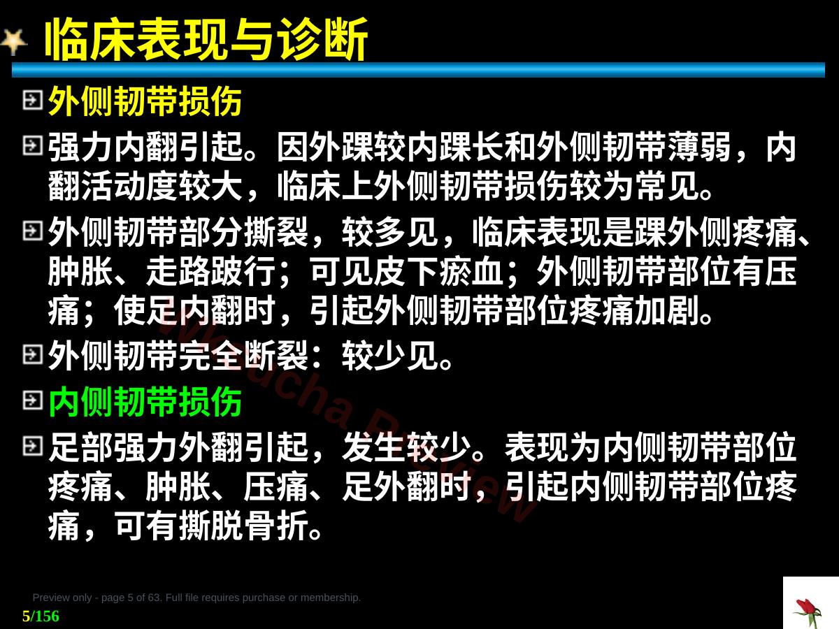 预览第 5 页