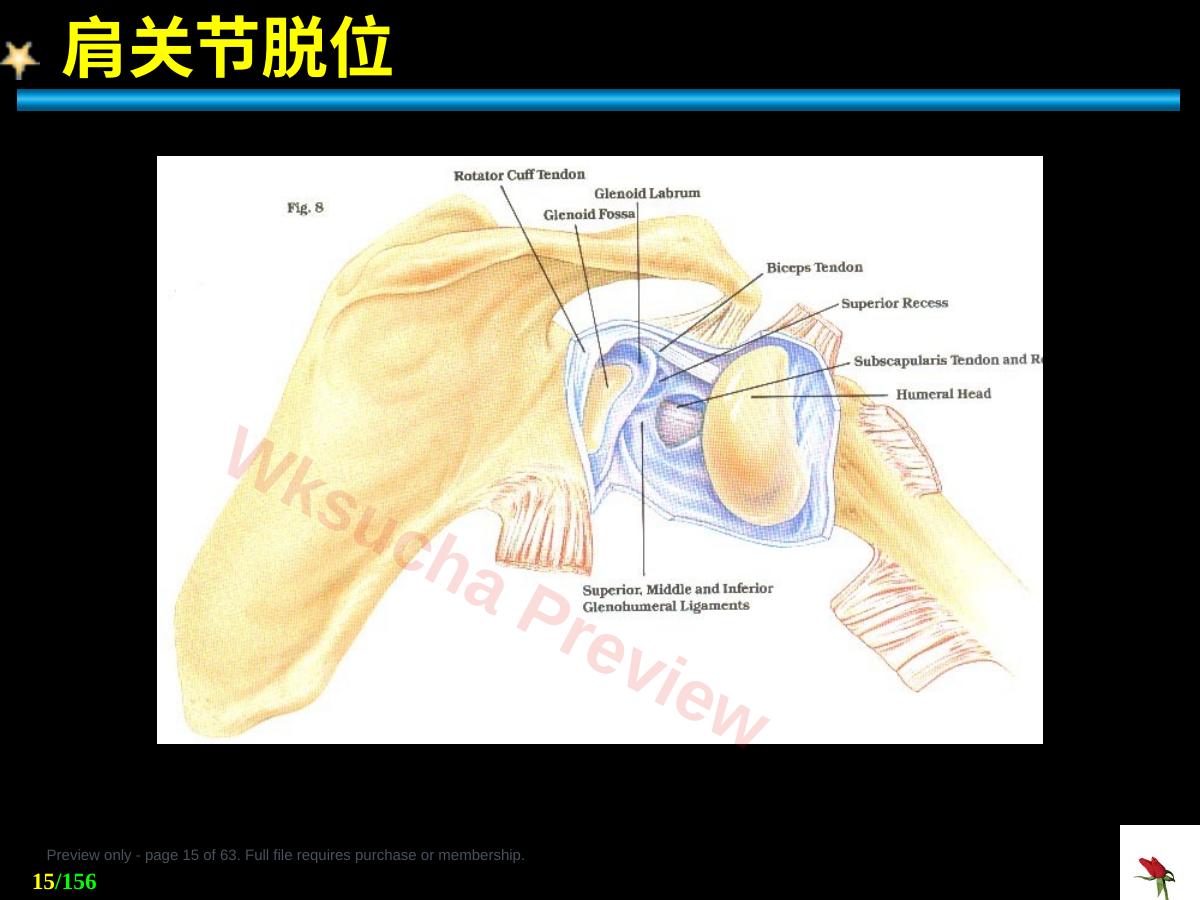 预览第 15 页
