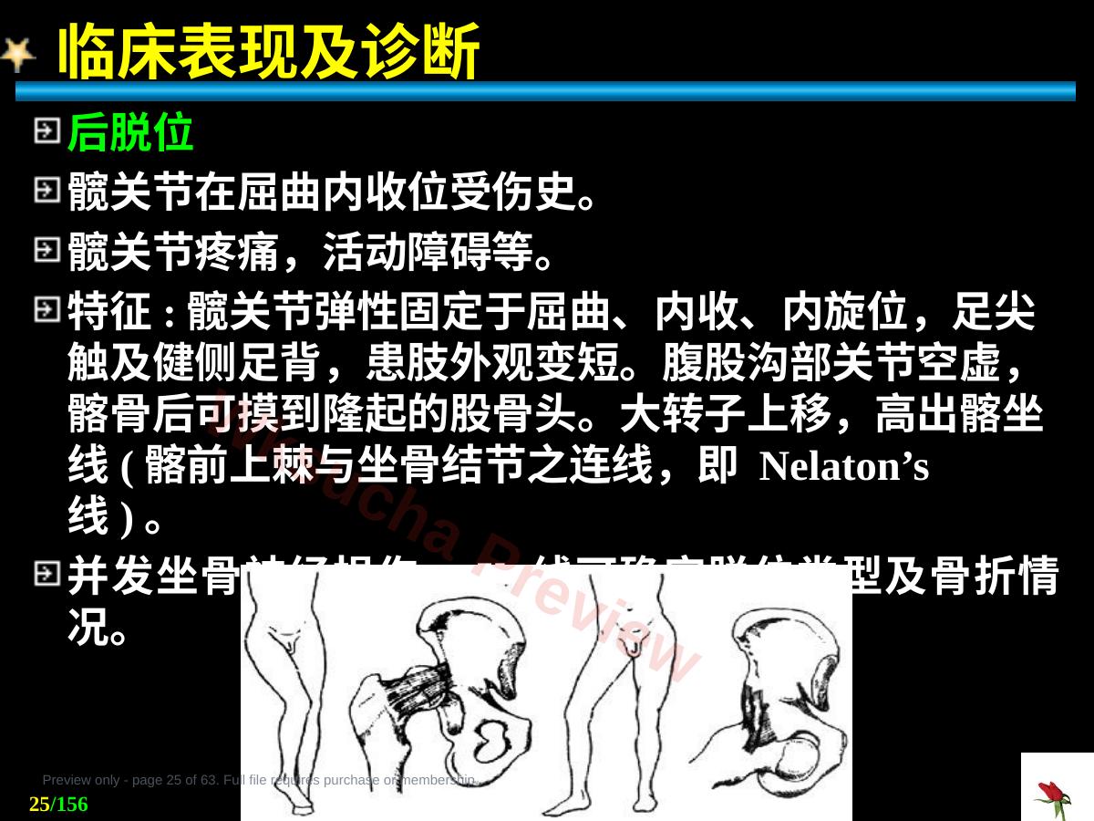 预览第 25 页
