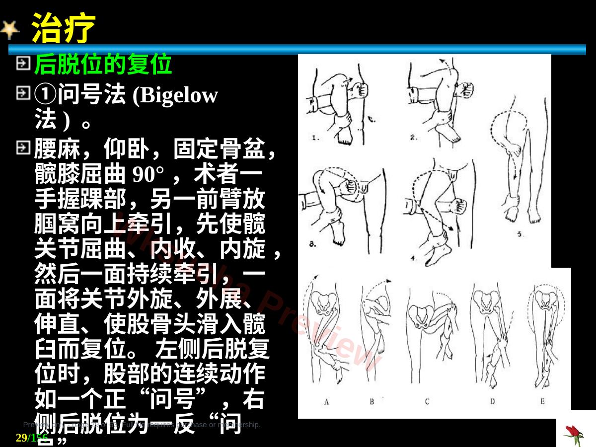 预览第 29 页