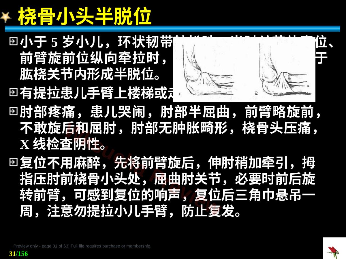 预览第 31 页