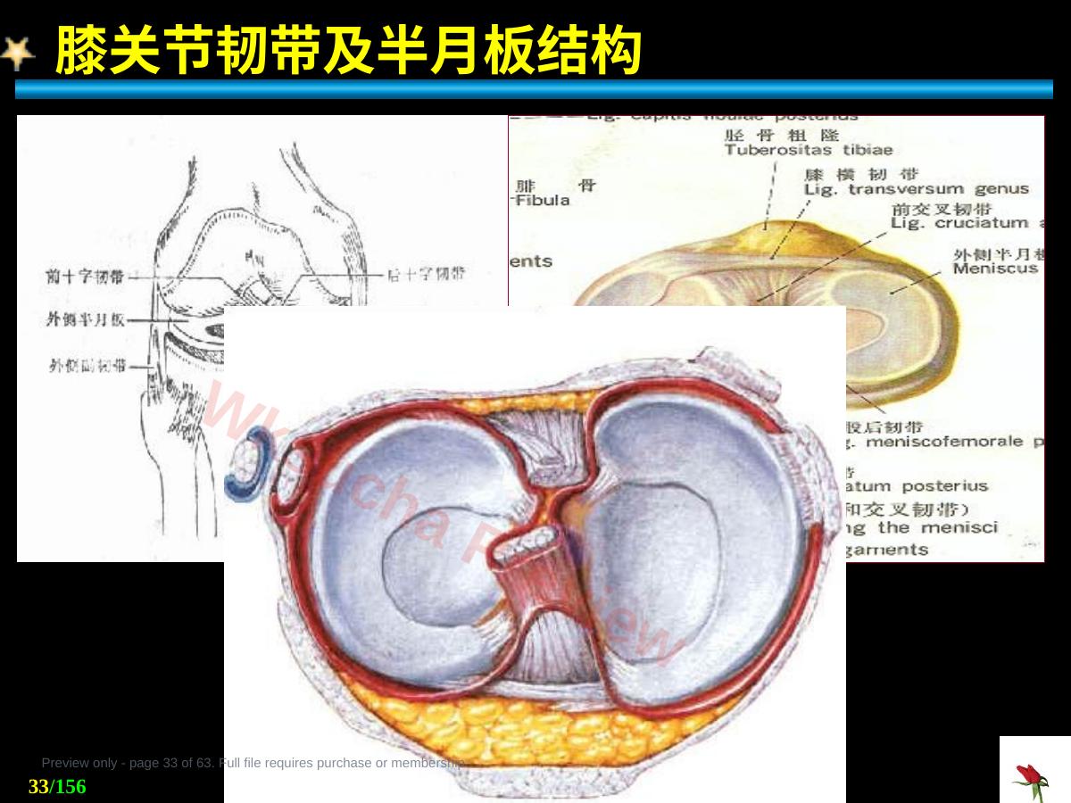 预览第 33 页