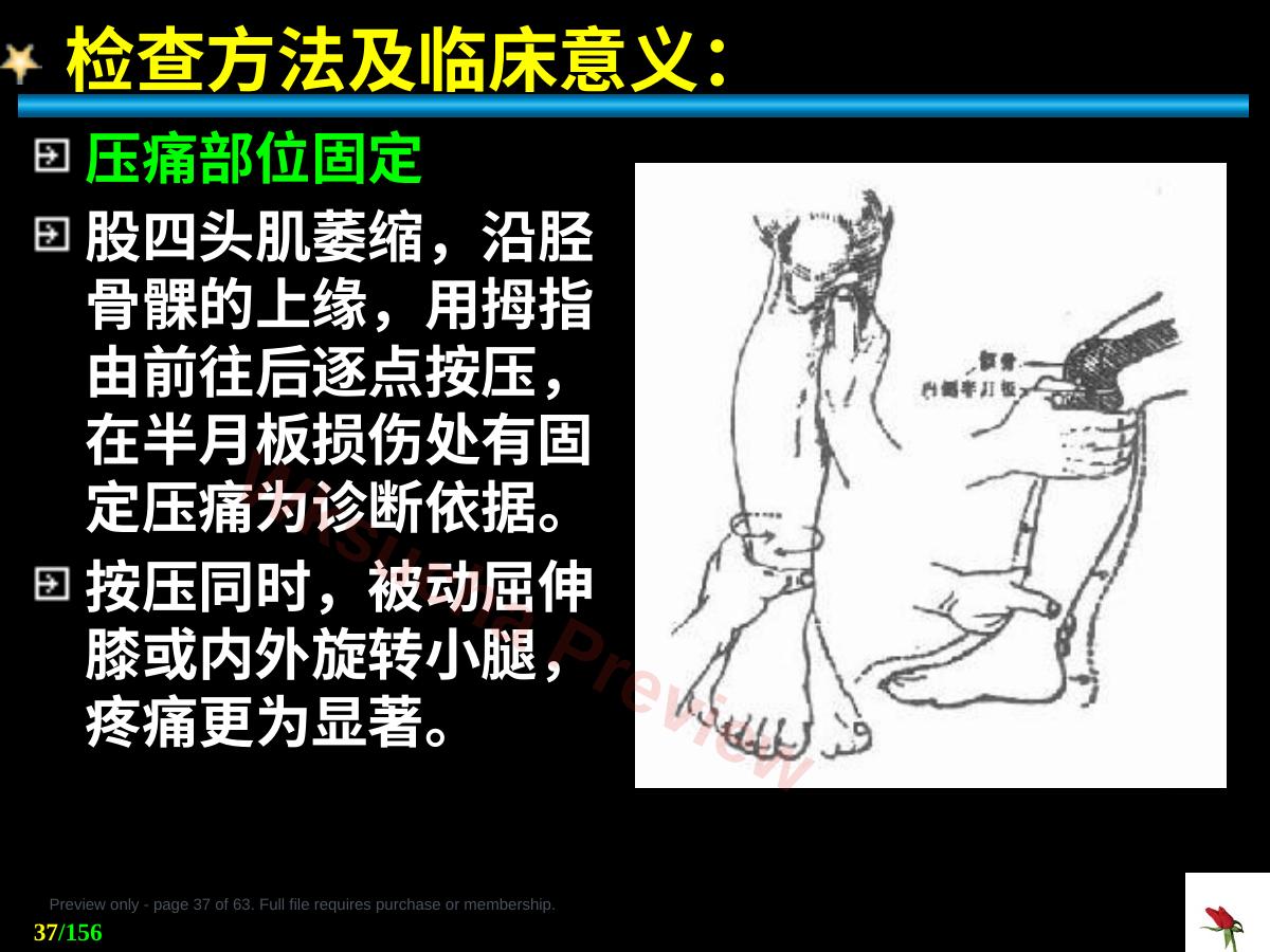 预览第 37 页