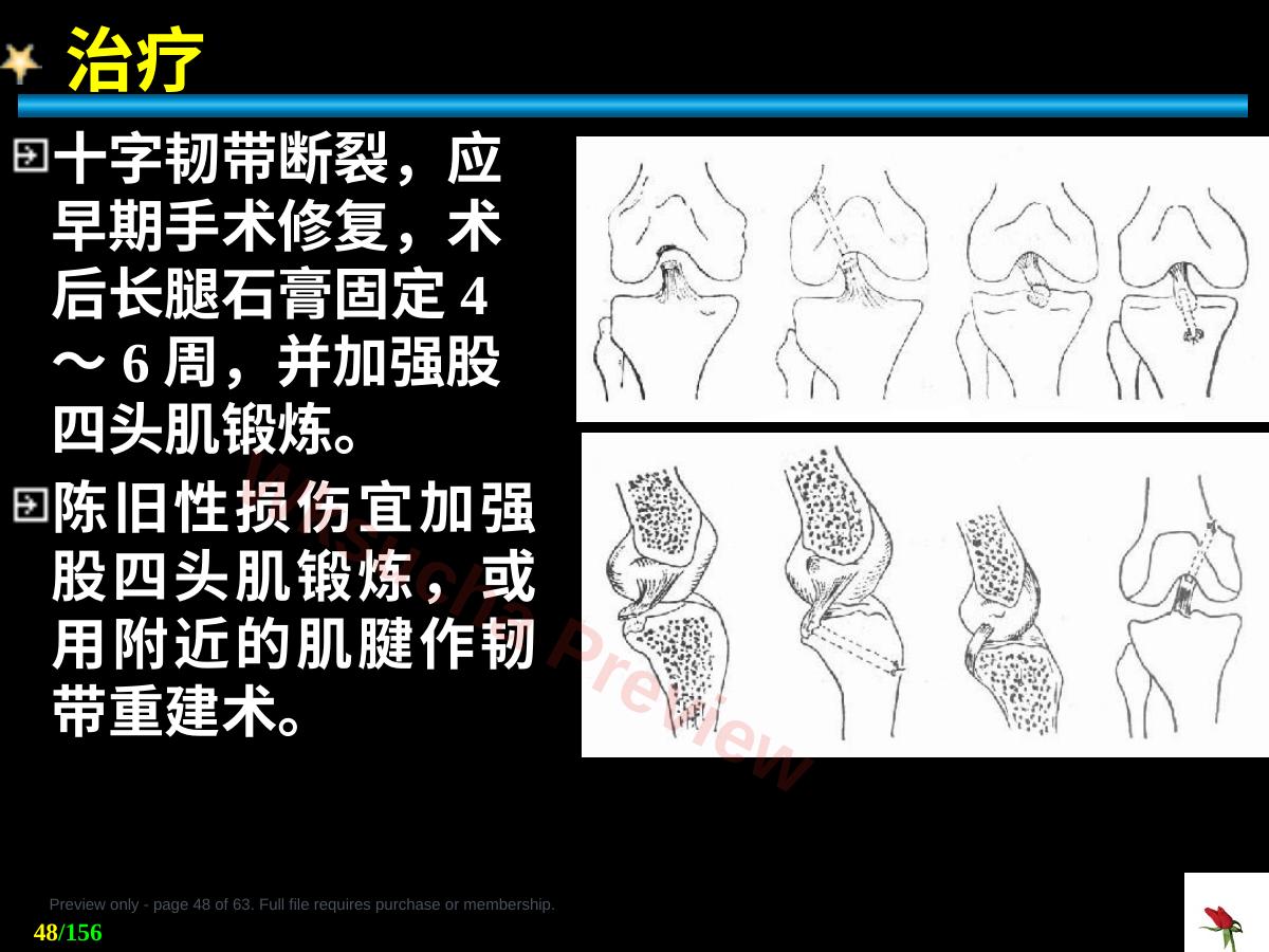 预览第 48 页