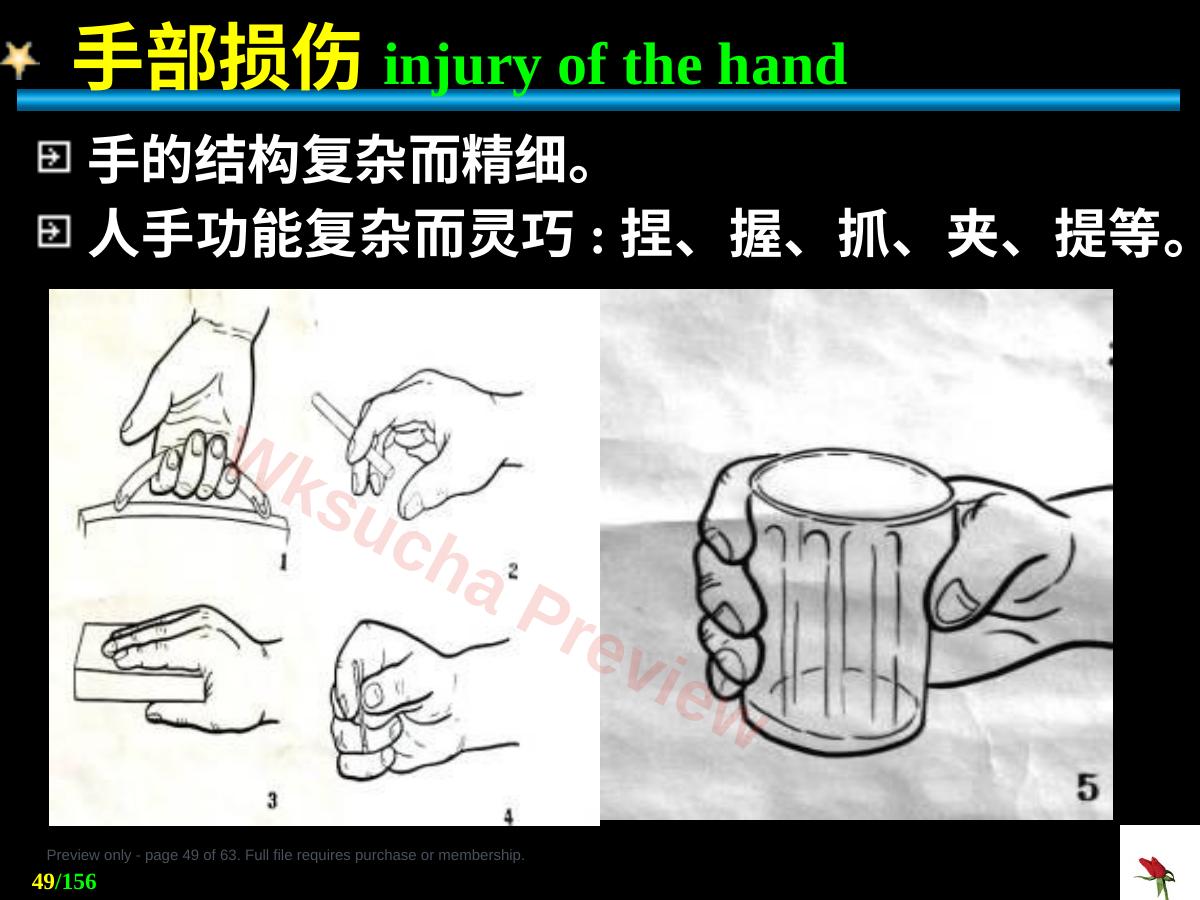 预览第 49 页