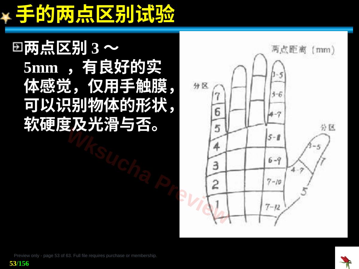 预览第 53 页