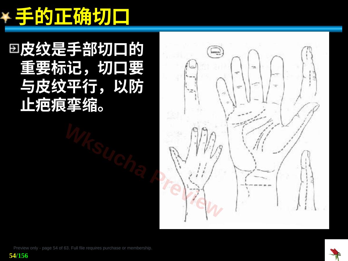预览第 54 页
