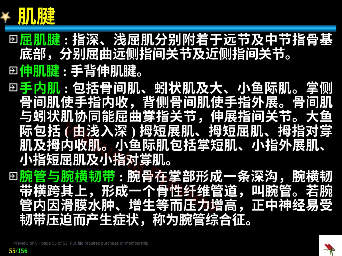 预览第 55 页