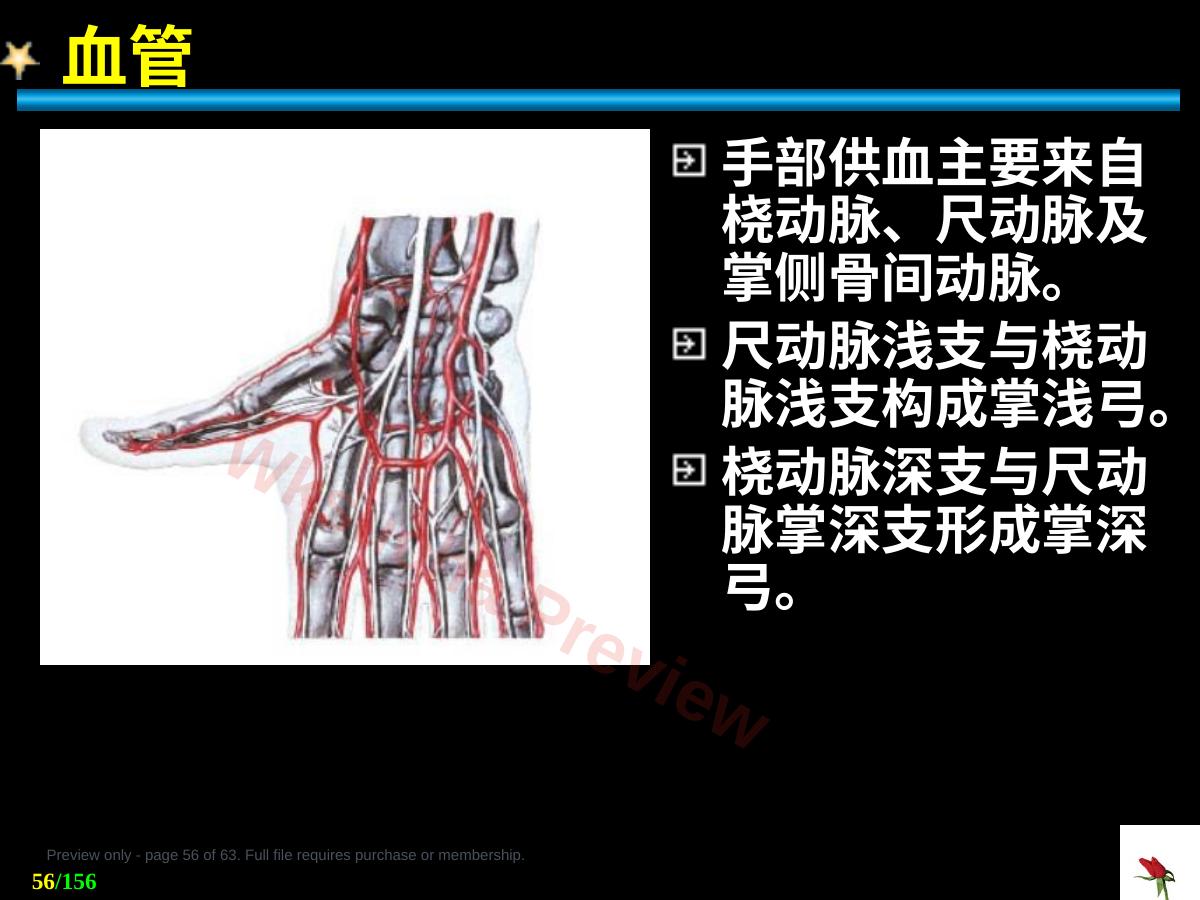 预览第 56 页
