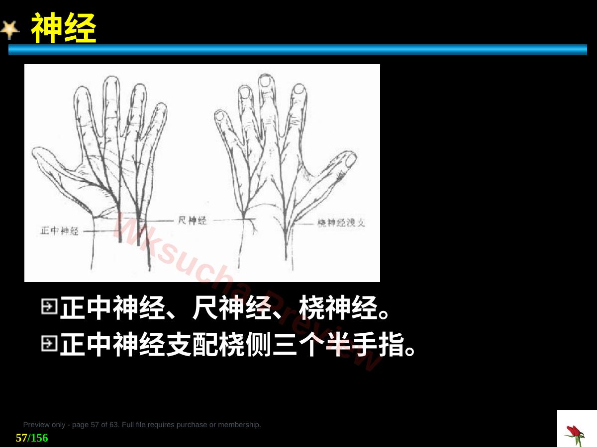预览第 57 页