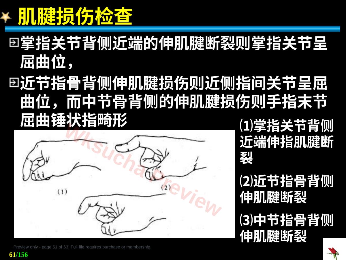 预览第 61 页