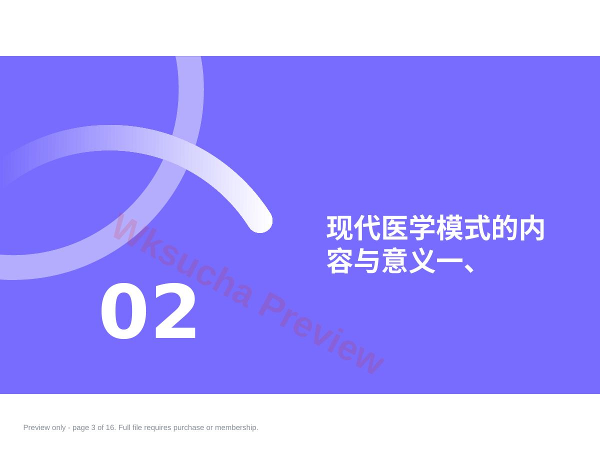 预览第 3 页